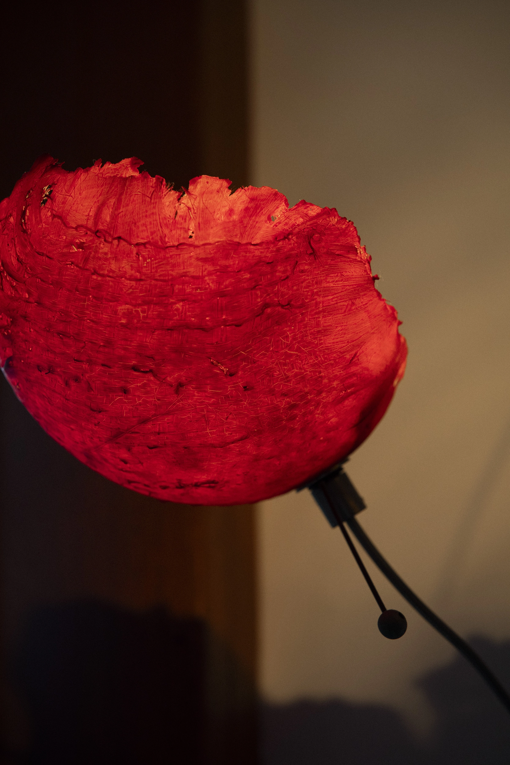 OMDÖMEN & UTMÄRKELSER